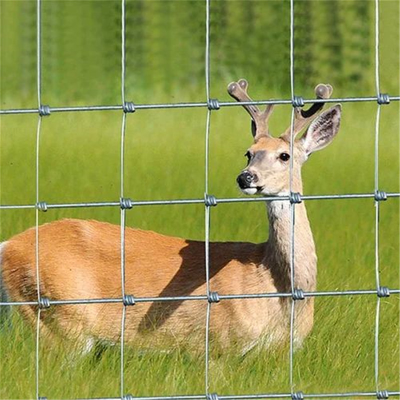 Fence