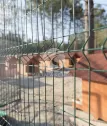 3D Fence