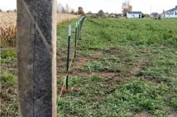 1. Set the corner posts and marked the T-post and anchor post locations. T-posts  were installed by banging them into the ground with the banger.