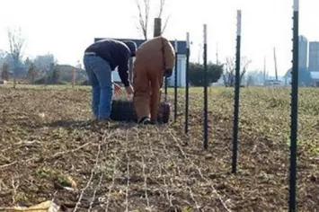 2. The fencing gets rolled out.