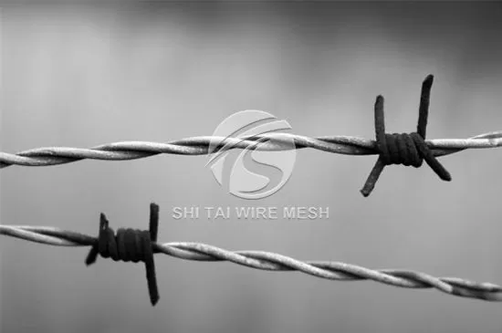 Barbed Wire