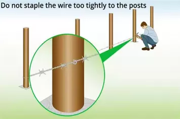 Step 5: Staple the Wire