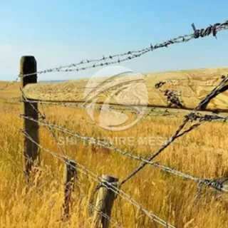 What Are the Different Types of Barbed Wire Mesh?