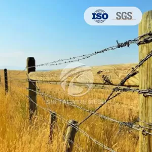 Applications of Different Types of Barbed Wire: What You Need to Know